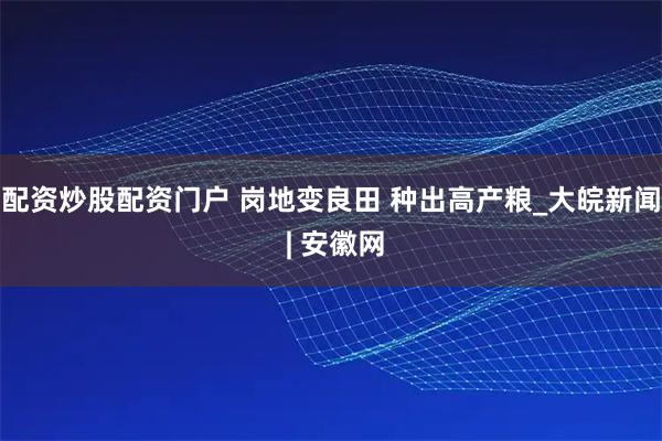 配资炒股配资门户 岗地变良田 种出高产粮_大皖新闻 | 安徽网